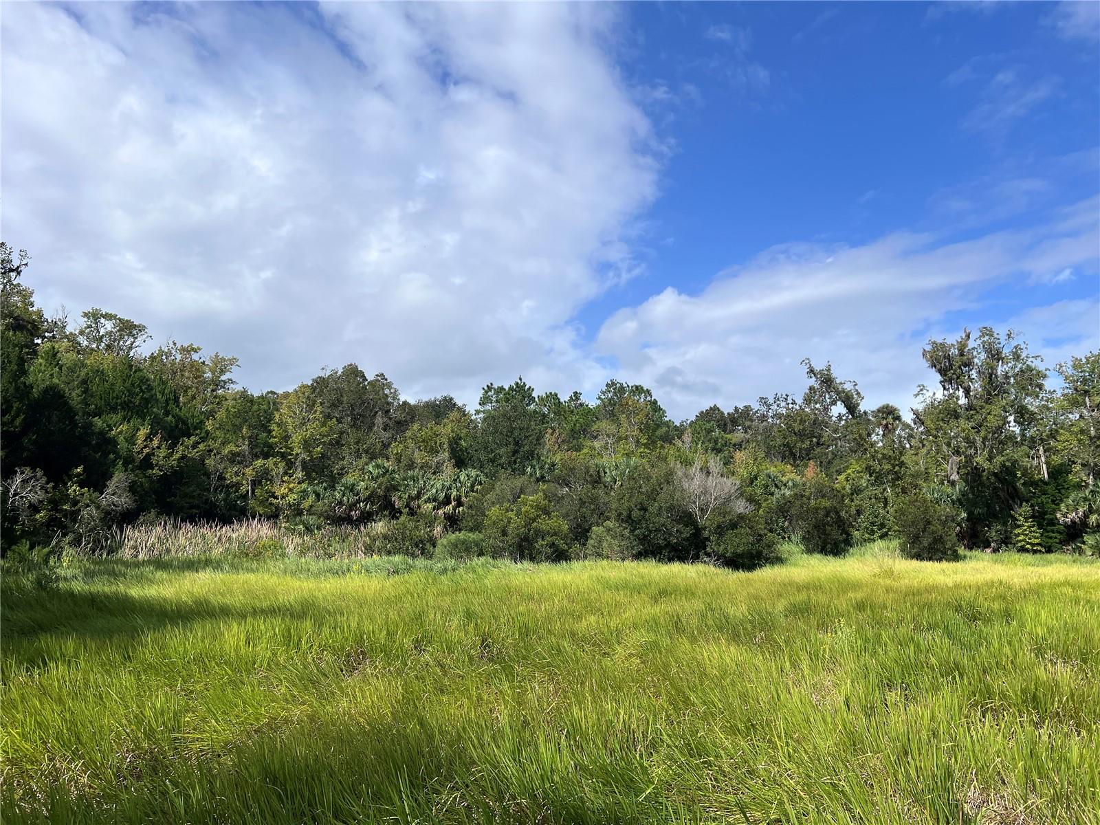 NFS 73 / ALCO RD, ASTOR, FL — photo 63