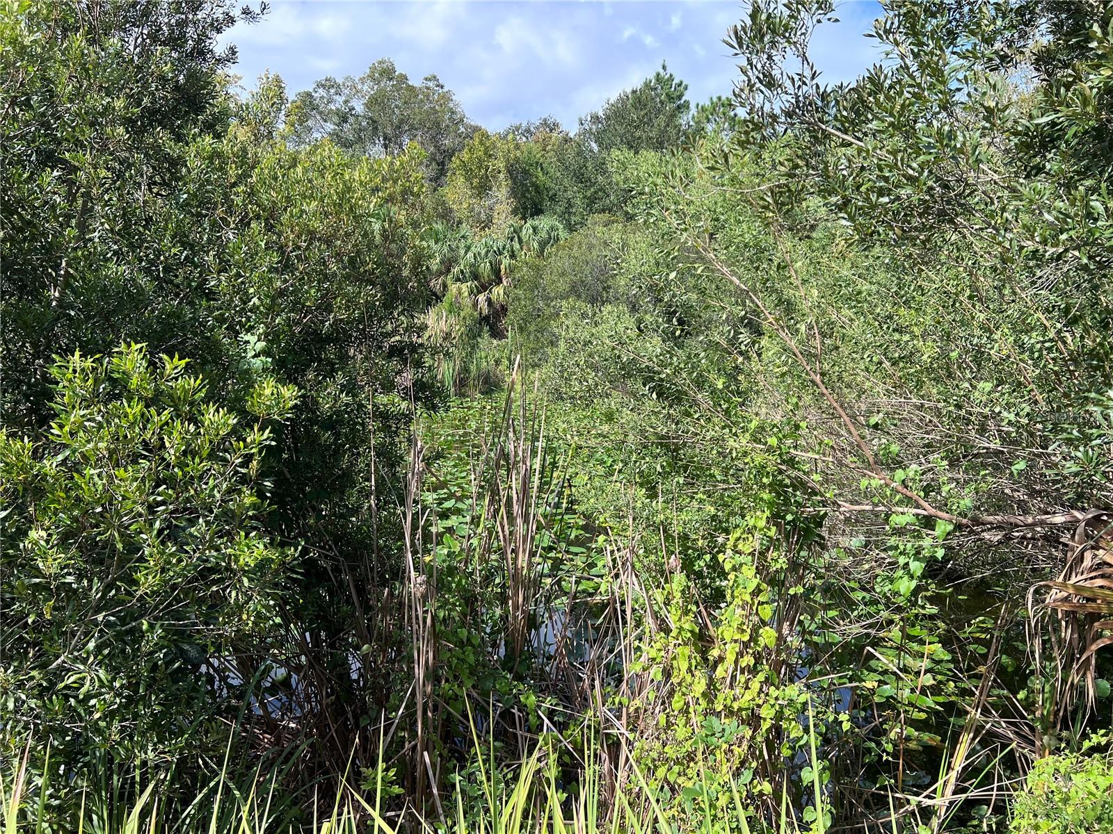 NFS 73 / ALCO RD, ASTOR, FL — photo 68