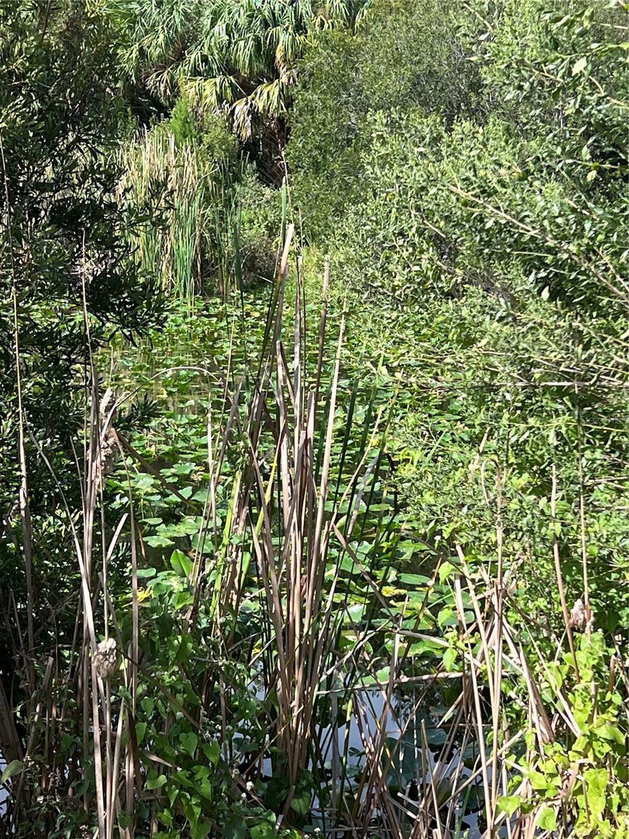 NFS 73 / ALCO RD, ASTOR, FL — photo 70