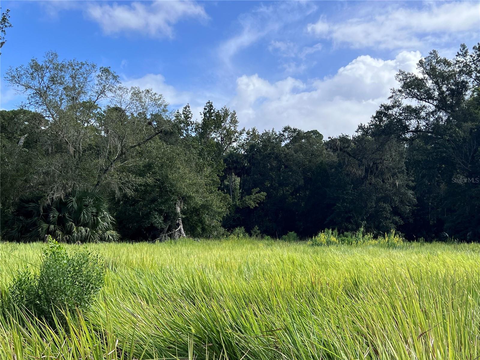 NFS 73 / ALCO RD, ASTOR, FL — photo 75