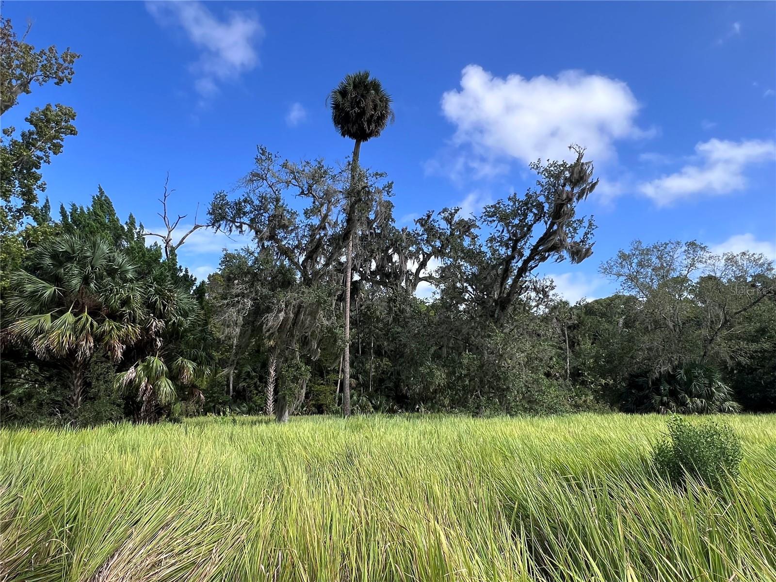 NFS 73 / ALCO RD, ASTOR, FL — photo 77