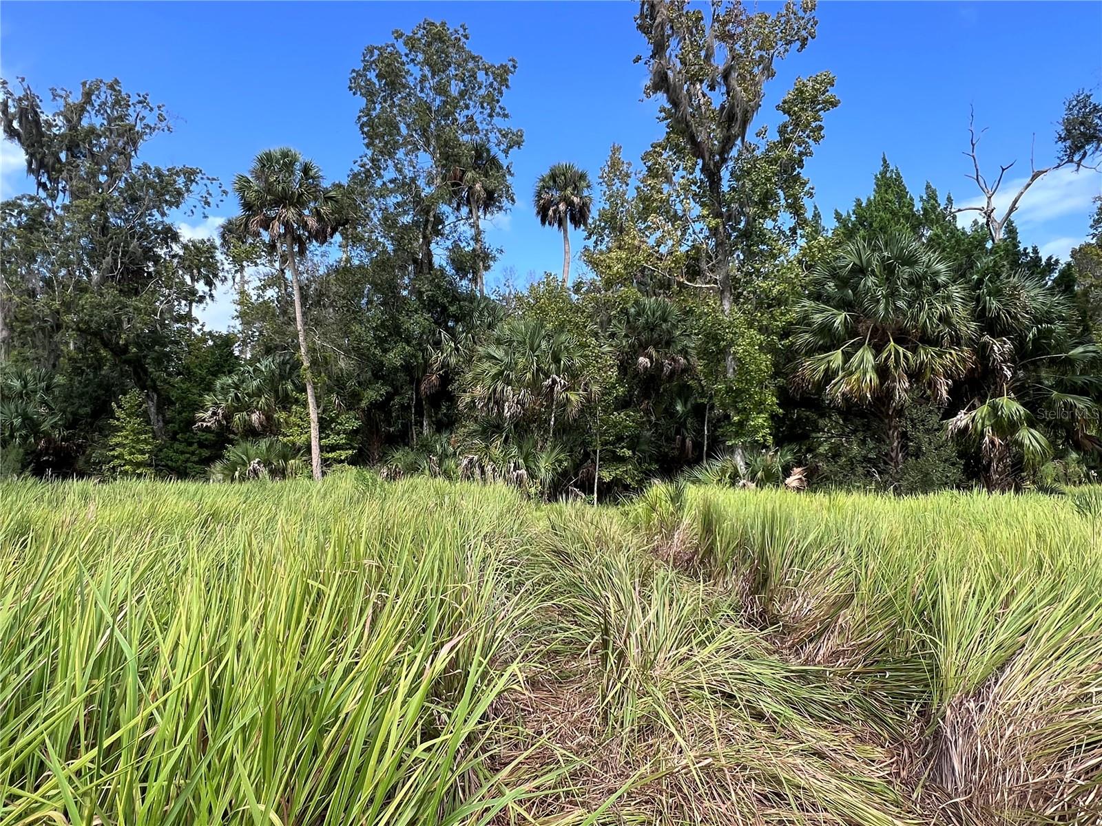 NFS 73 / ALCO RD, ASTOR, FL — photo 79