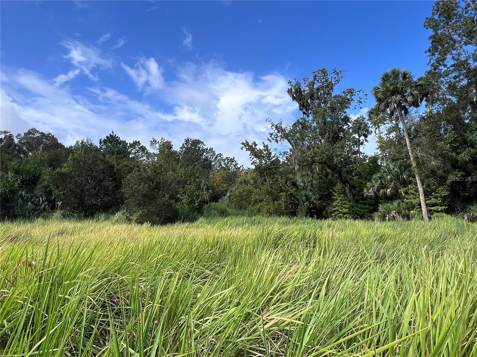 NFS 73 / ALCO RD, ASTOR, FL — photo 82