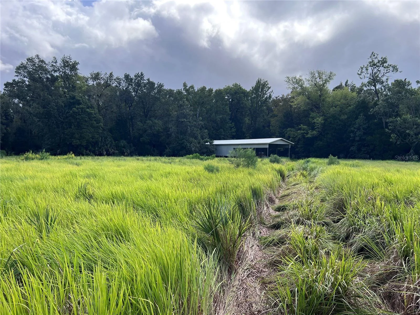 NFS 73 / ALCO RD, ASTOR, FL — photo 83