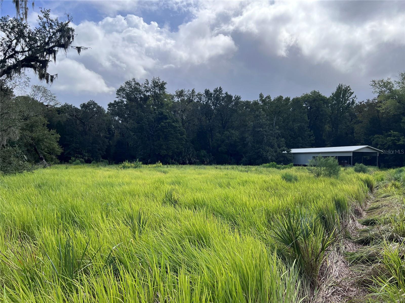 NFS 73 / ALCO RD, ASTOR, FL — photo 86