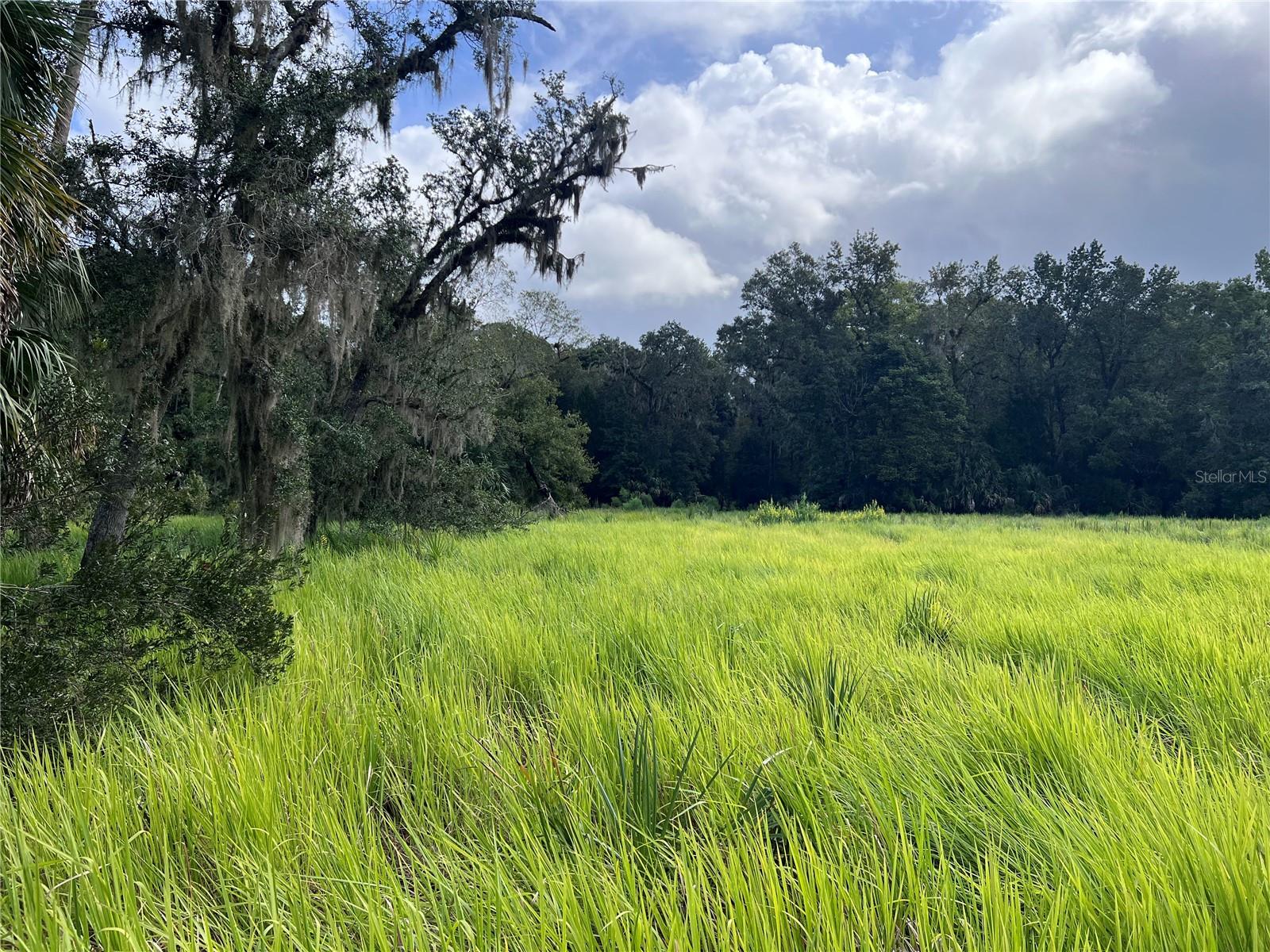 NFS 73 / ALCO RD, ASTOR, FL — photo 87
