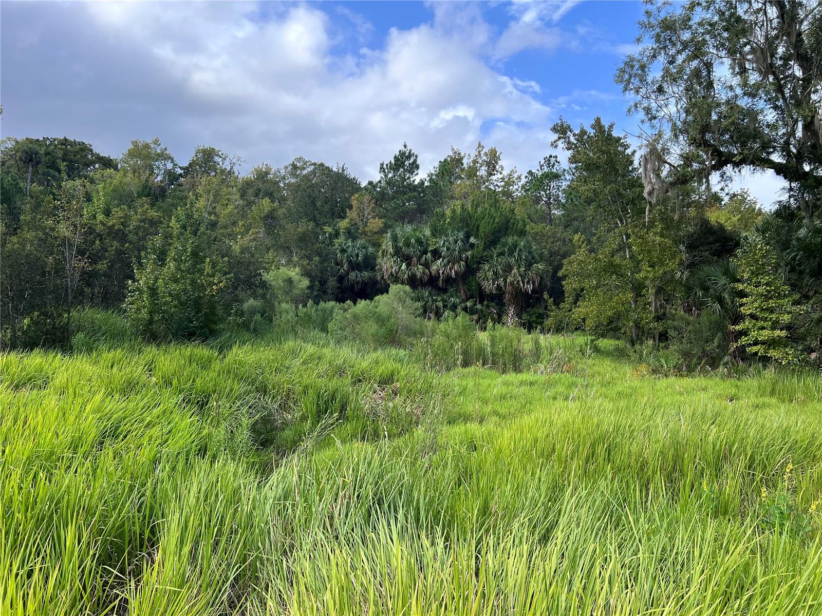 NFS 73 / ALCO RD, ASTOR, FL — photo 89