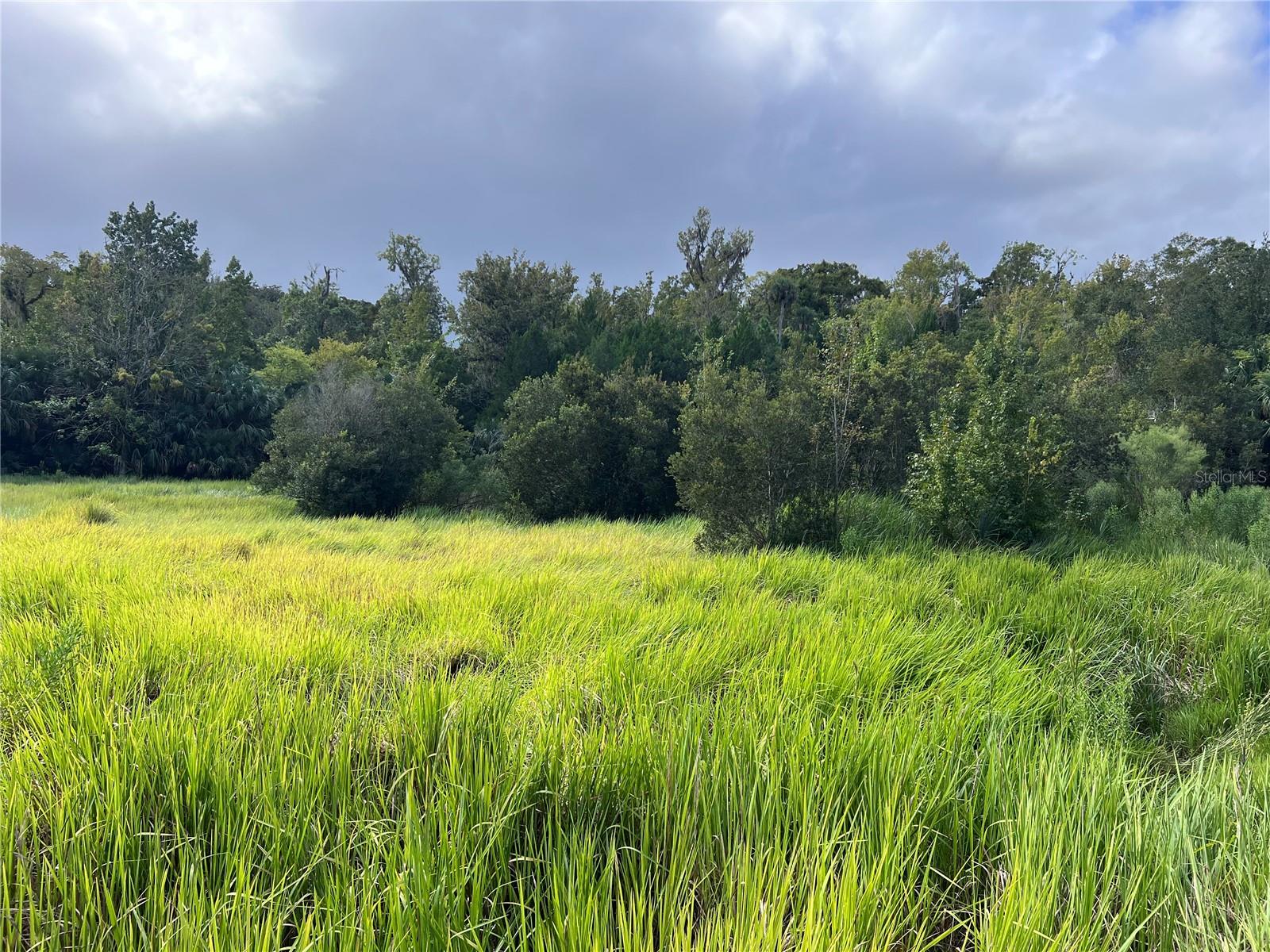 NFS 73 / ALCO RD, ASTOR, FL — photo 92