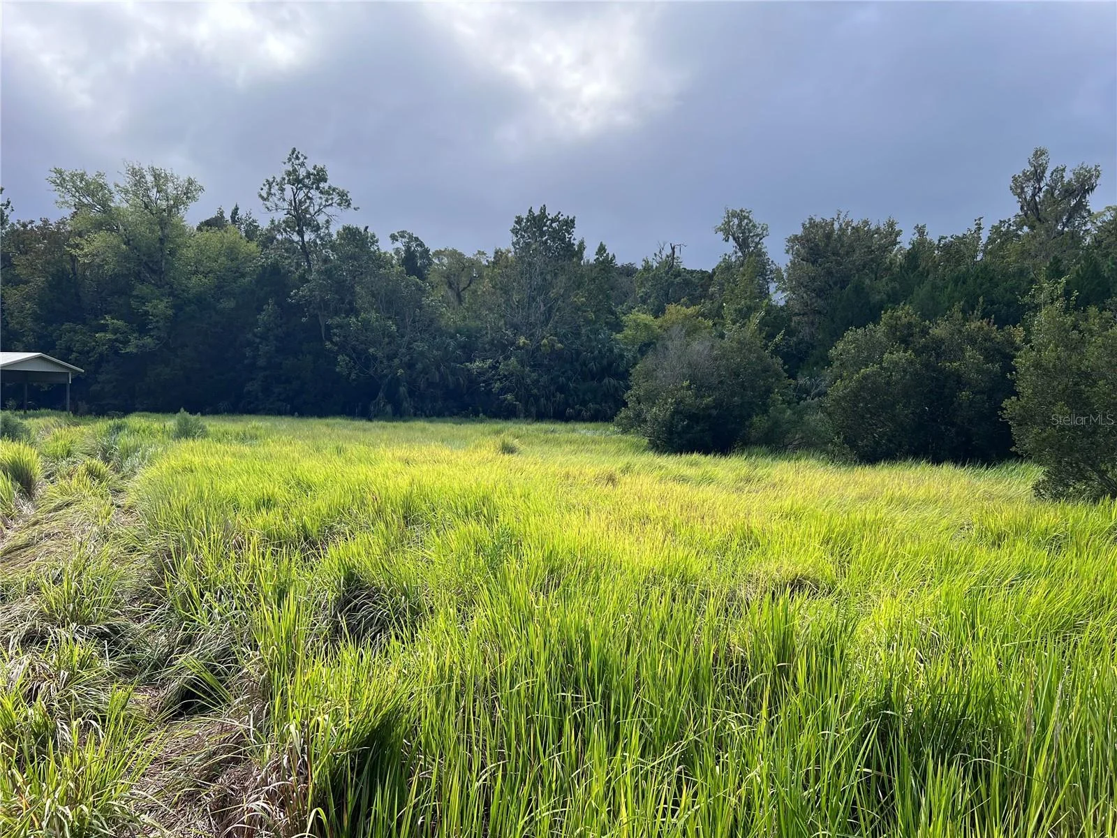 NFS 73 / ALCO RD, ASTOR, FL — photo 93