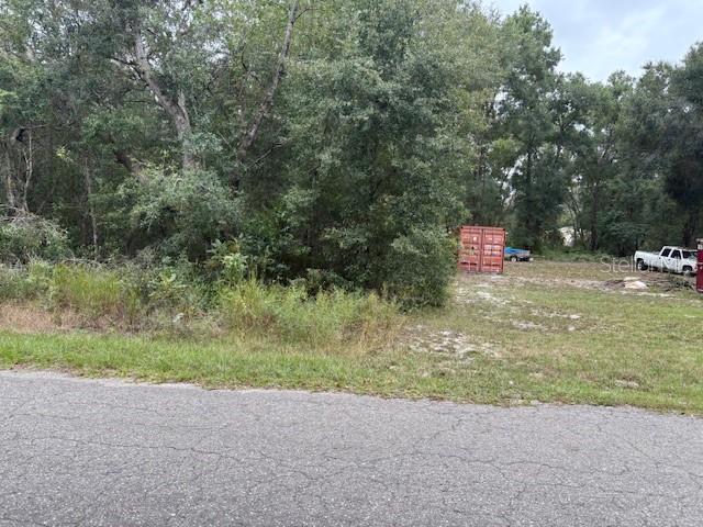 , OCKLAWAHA, FL — photo 2