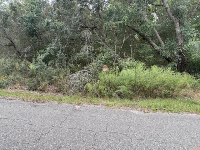 , OCKLAWAHA, FL — photo 4