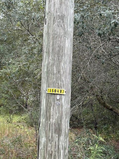 , OCKLAWAHA, FL — photo 5