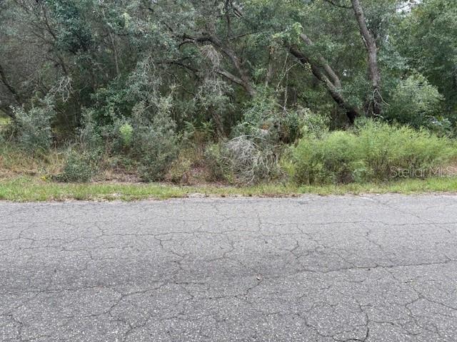 , OCKLAWAHA, FL — photo 7