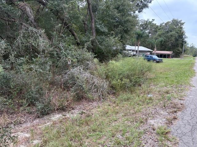 , OCKLAWAHA, FL — photo 8