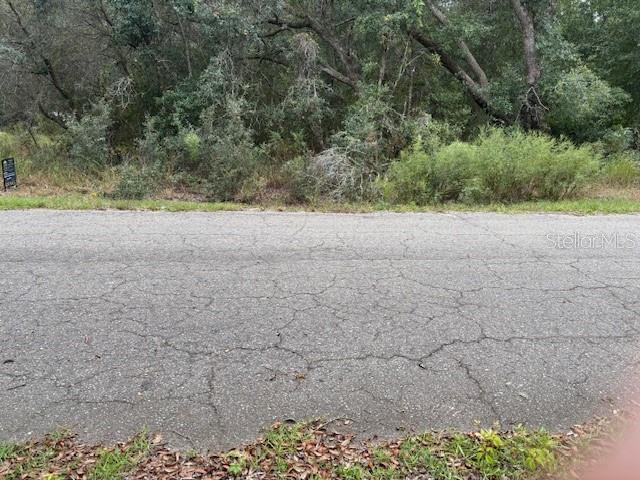 , OCKLAWAHA, FL — photo 9