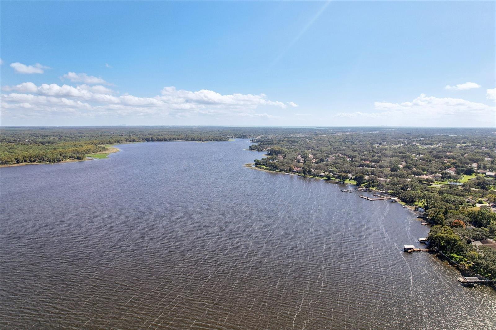 3140 N CANAL DR, PALM HARBOR, FL — photo 47