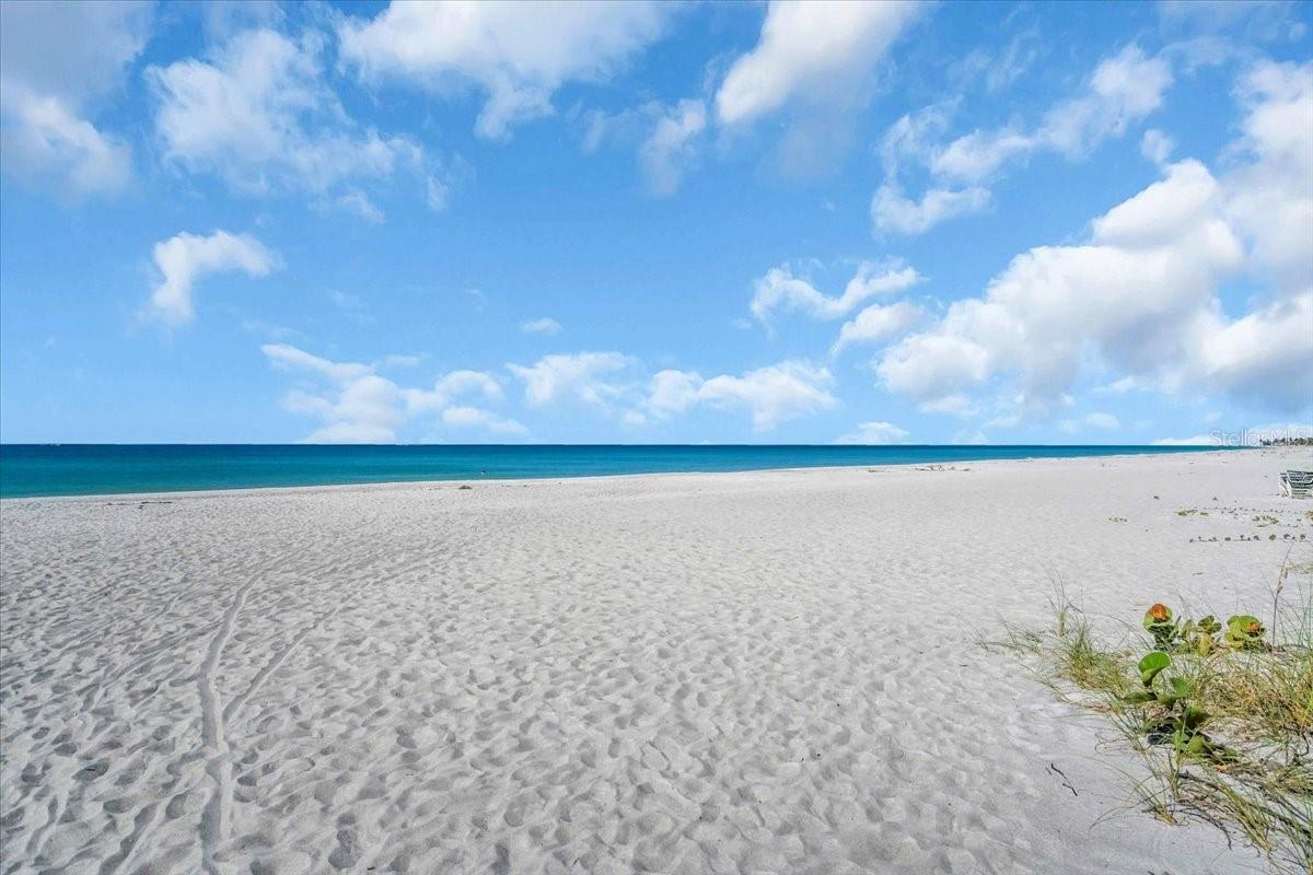 5841 GULF OF MEXICO DR #244, LONGBOAT KEY, FL — photo 3