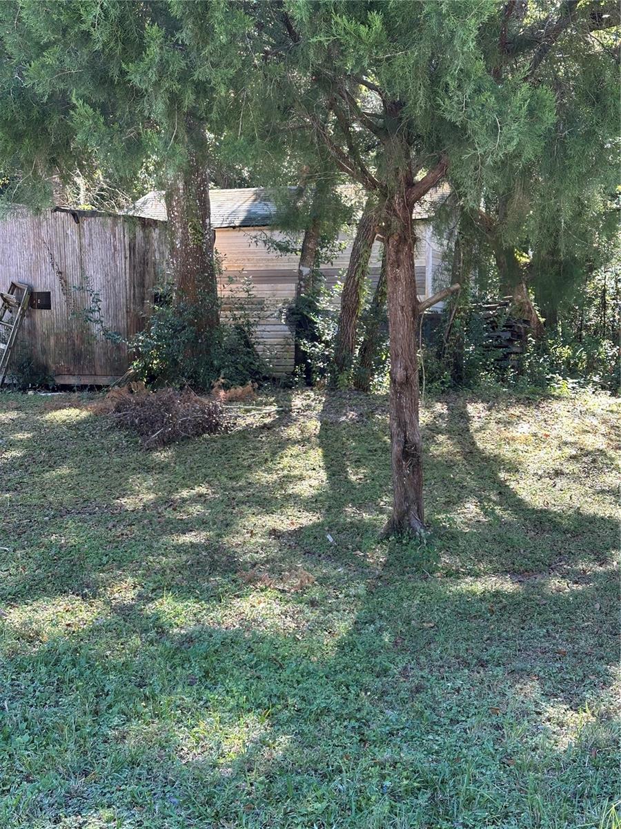 OCASTA AVE, NEW PORT RICHEY, FL — photo 3