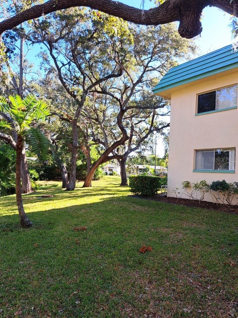 2005 GREENBRIAR BLVD #1, CLEARWATER, FL — photo 4