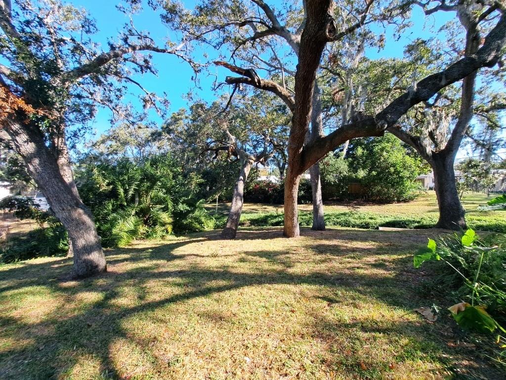 2005 GREENBRIAR BLVD #1, CLEARWATER, FL — photo 12