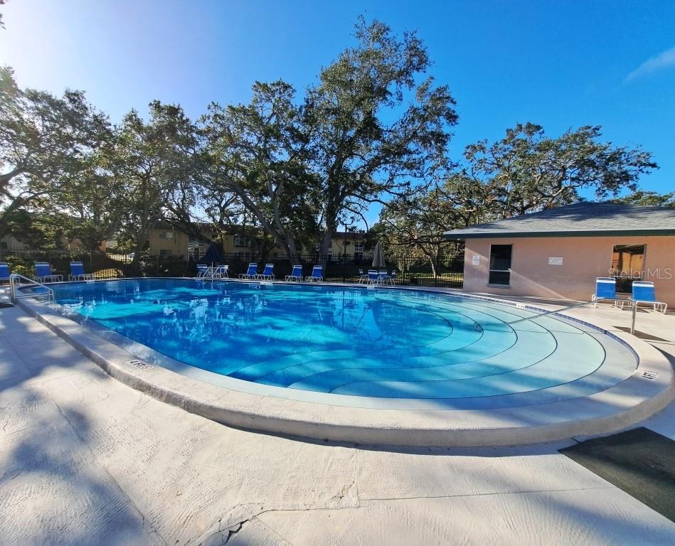 2005 GREENBRIAR BLVD #1, CLEARWATER, FL — photo 20