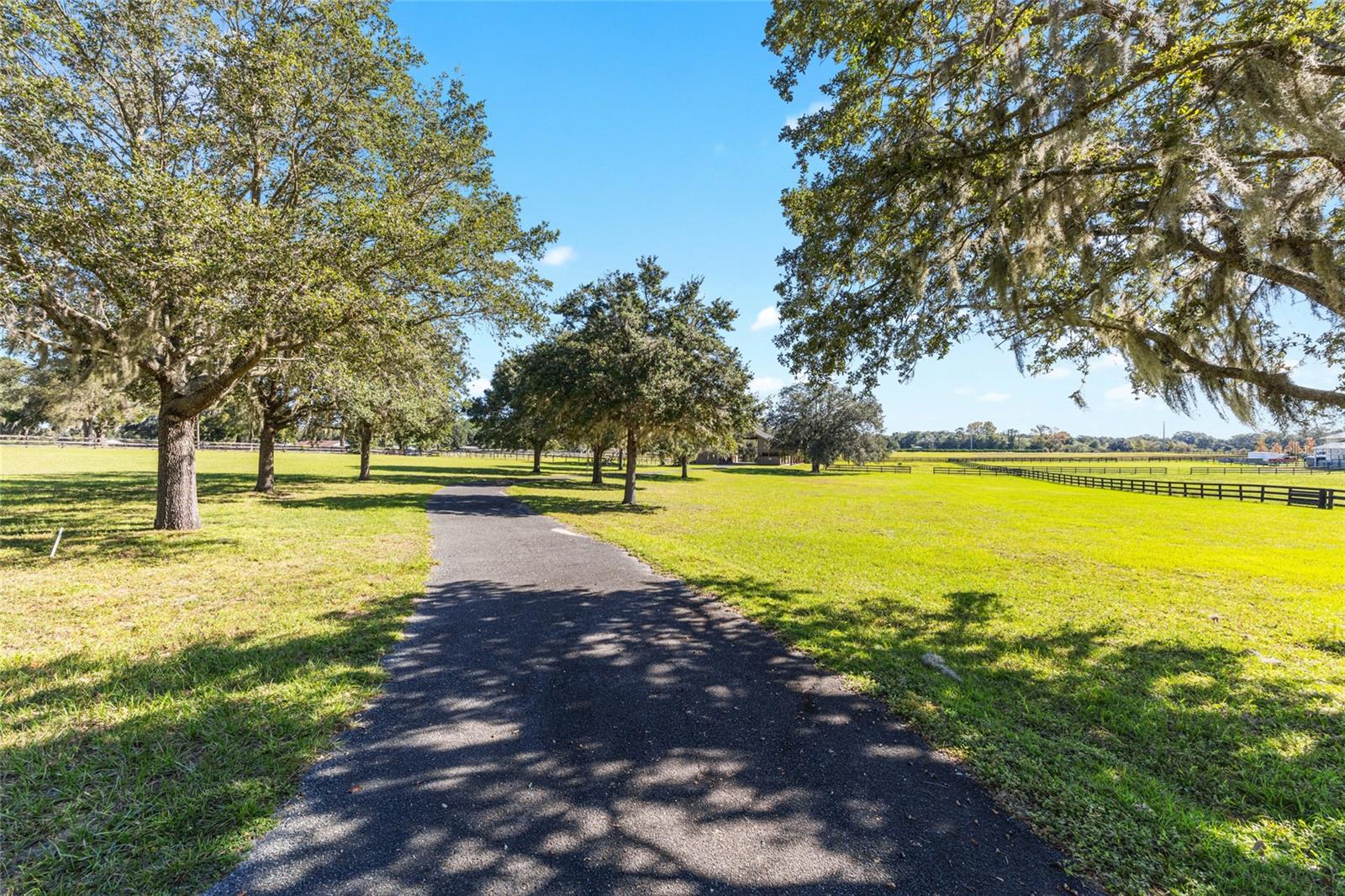 997 NW 63RD CT, OCALA, FL — photo 53
