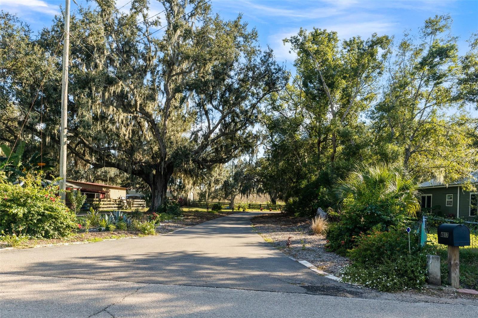 4817 MILEY RD, PLANT CITY, FL — photo 37