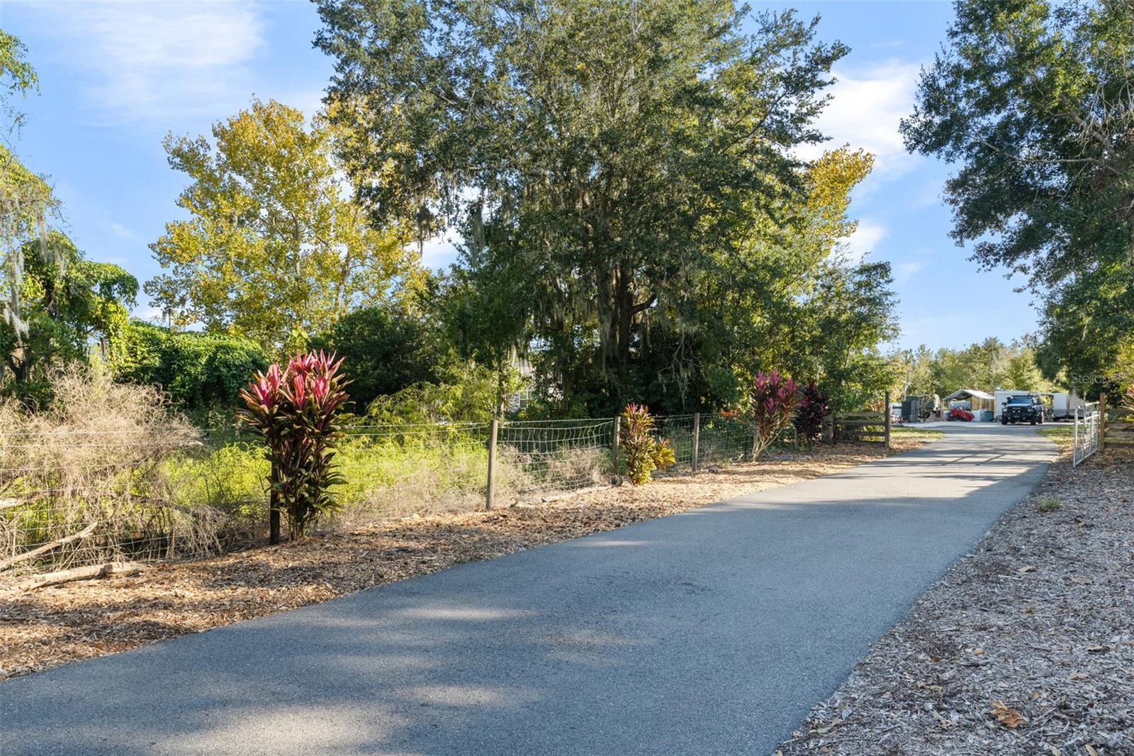 4817 MILEY RD, PLANT CITY, FL — photo 42