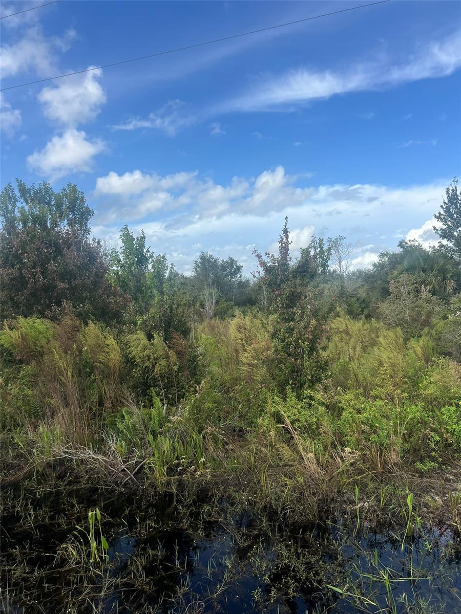 19089 NW 282ND ST, OKEECHOBEE, FL — photo 2
