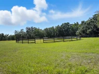 23337 LAKE LINDSEY RD — photo 94