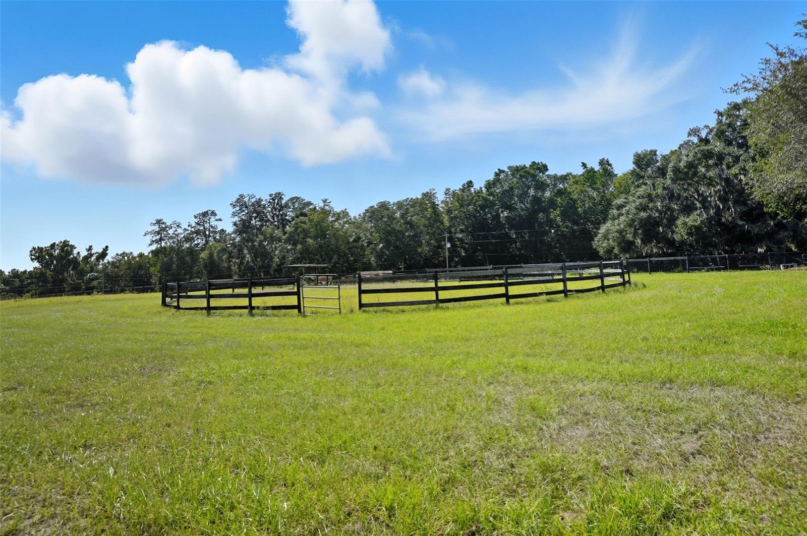 23337 LAKE LINDSEY RD, BROOKSVILLE, FL — photo 93