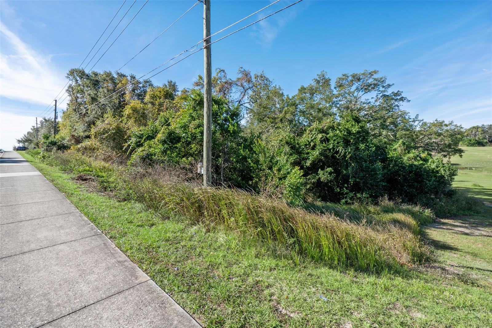 2228 VICK RD, APOPKA, FL — photo 22