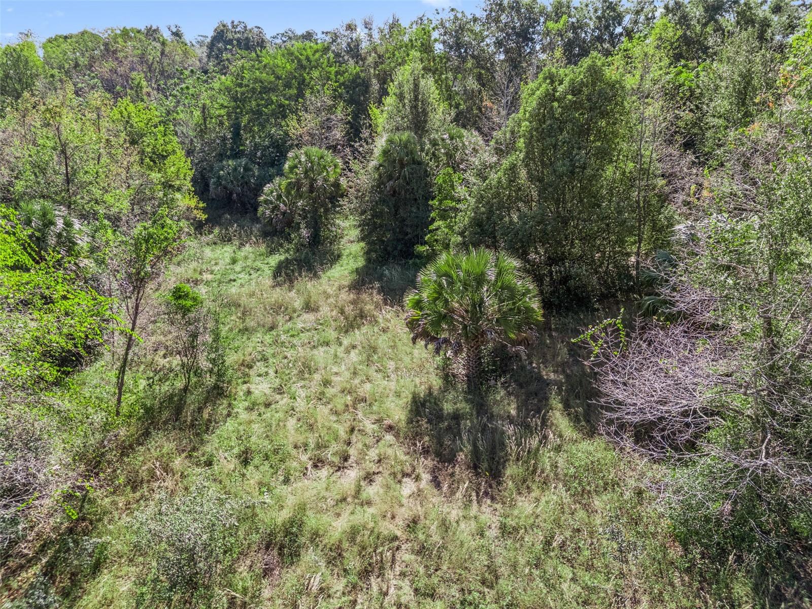 2228 VICK RD, APOPKA, FL — photo 24