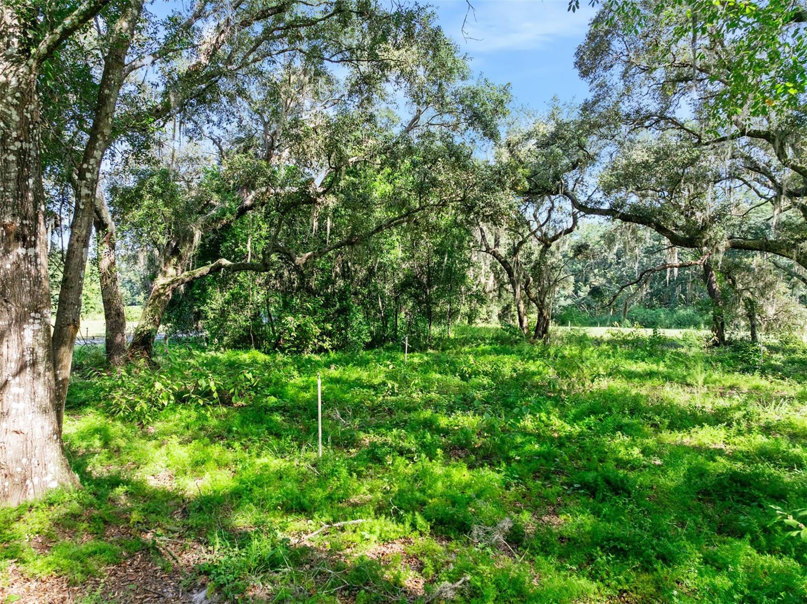 ROBERTS RD, PIERSON, FL — photo 65