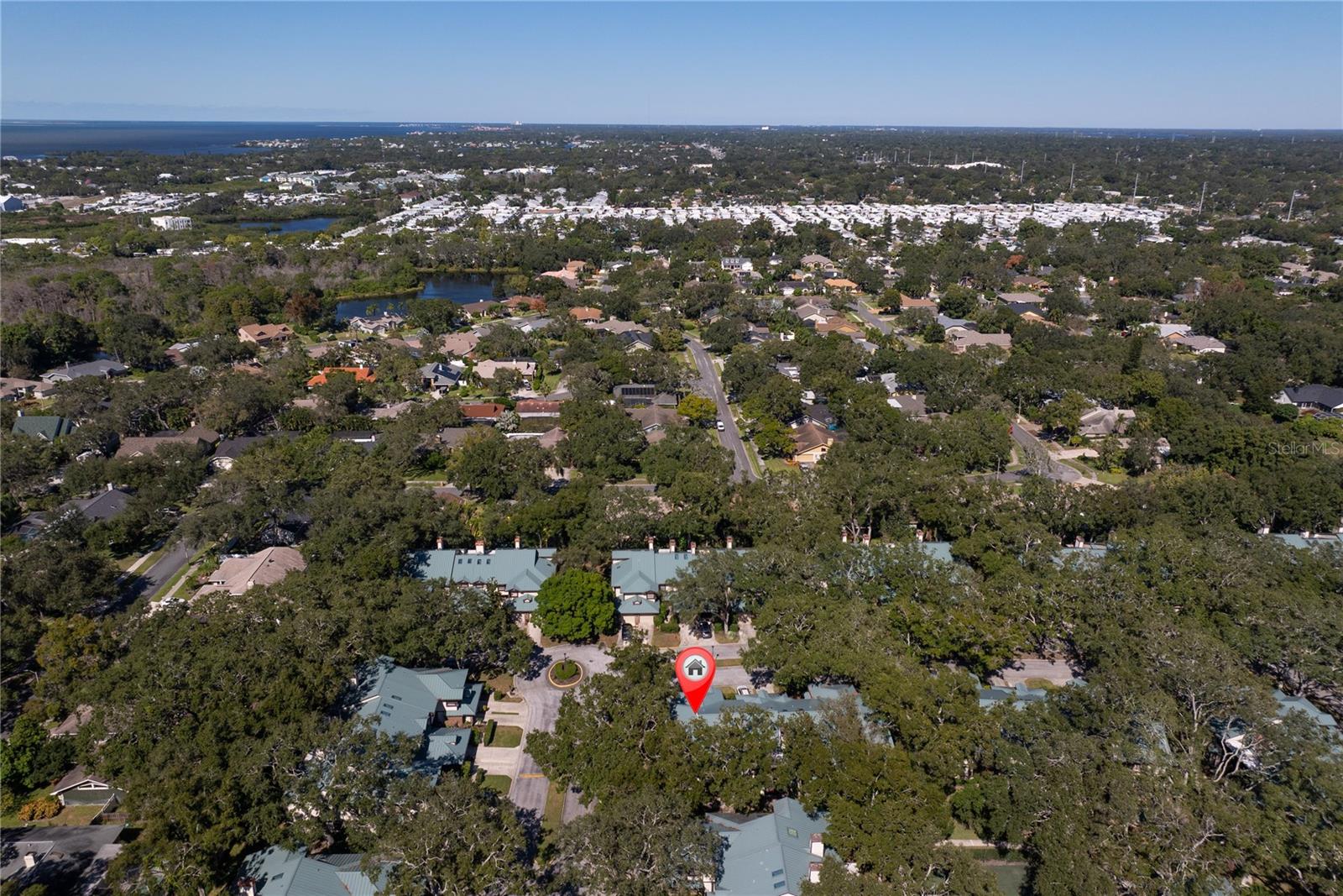 1471 MAHOGANY LN #1706, PALM HARBOR, FL — photo 38