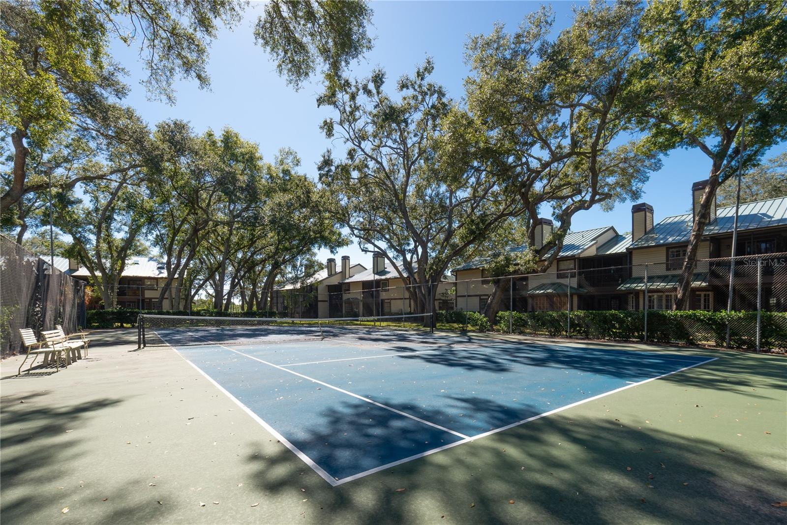 1471 MAHOGANY LN #1706, PALM HARBOR, FL — photo 43