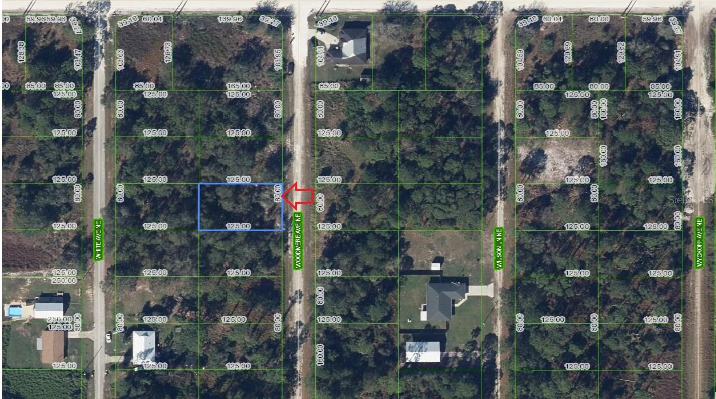 107 WOODMERE AVE NE, LAKE PLACID, FL