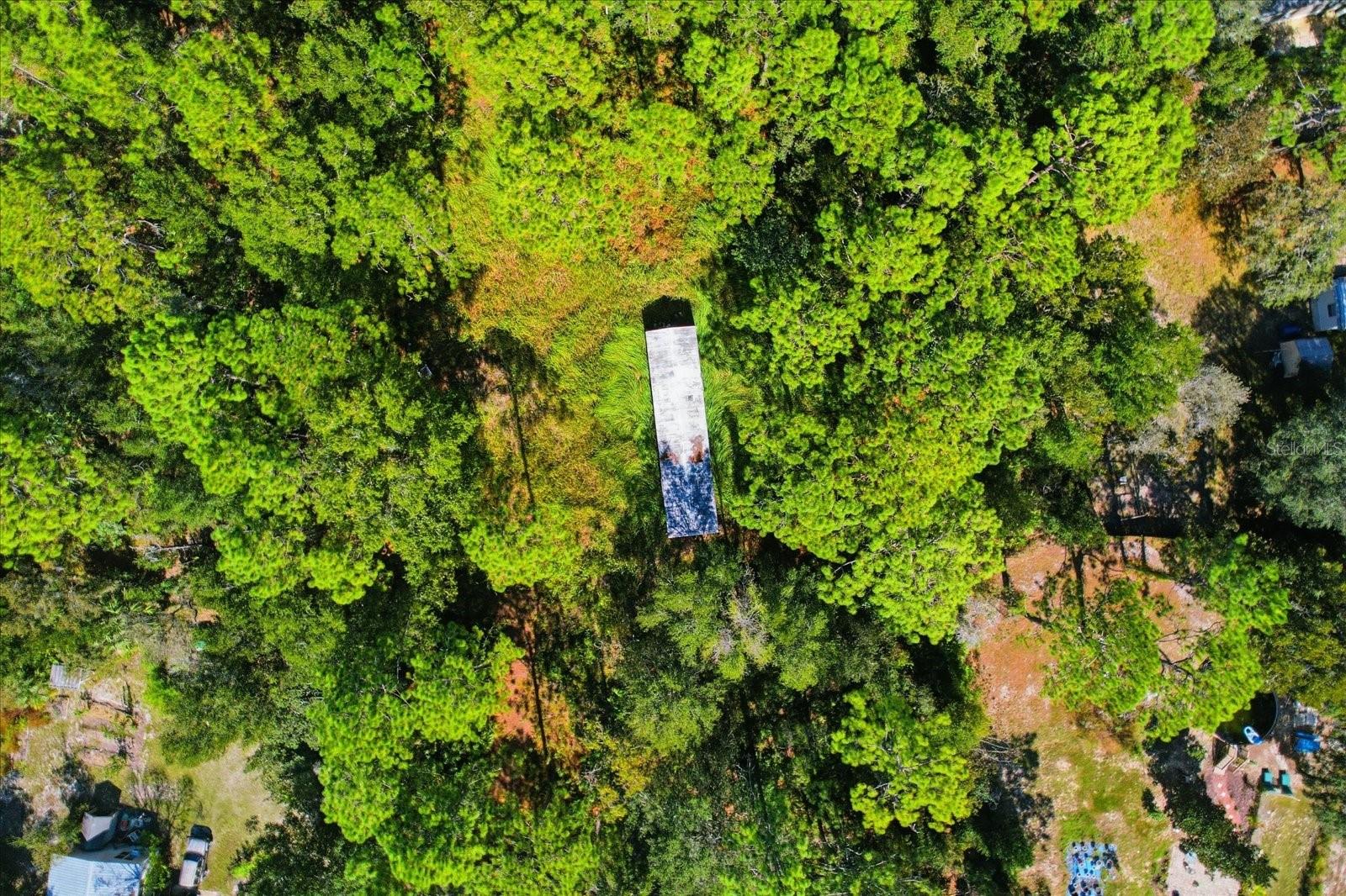 3351 S JUNKET DR, HOMOSASSA, FL — photo 4