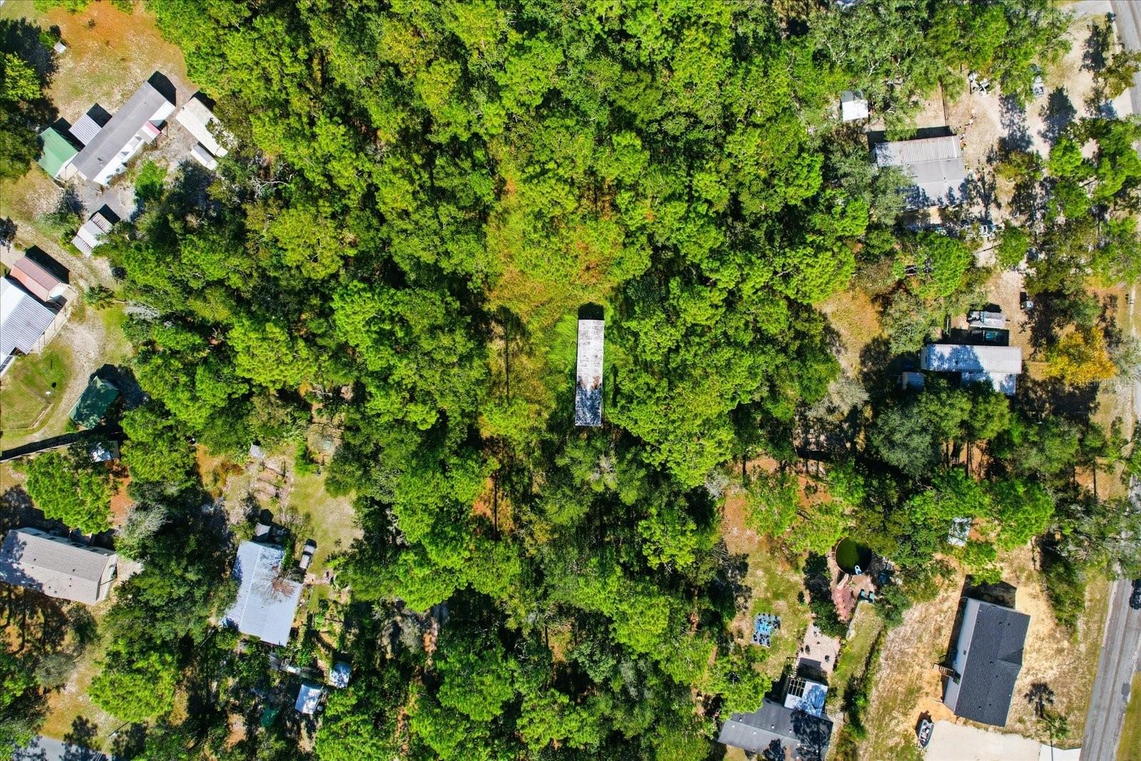 3351 S JUNKET DR, HOMOSASSA, FL — photo 5