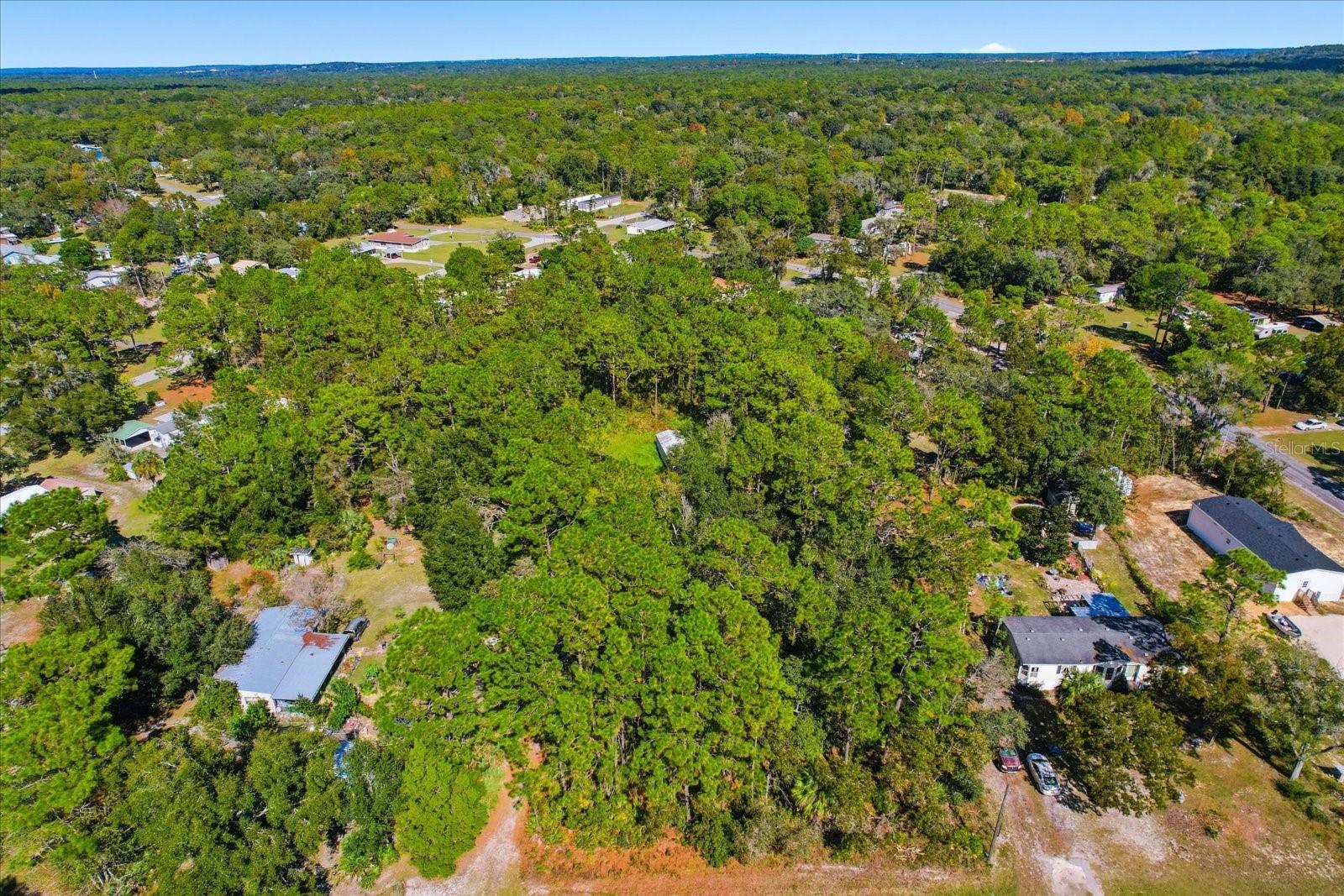 3351 S JUNKET DR, HOMOSASSA, FL — photo 6