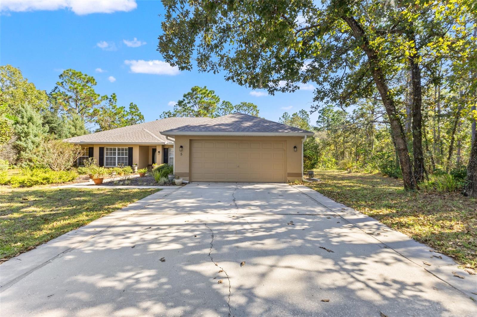 5 BOXLEAF, HOMOSASSA, FL — photo 2