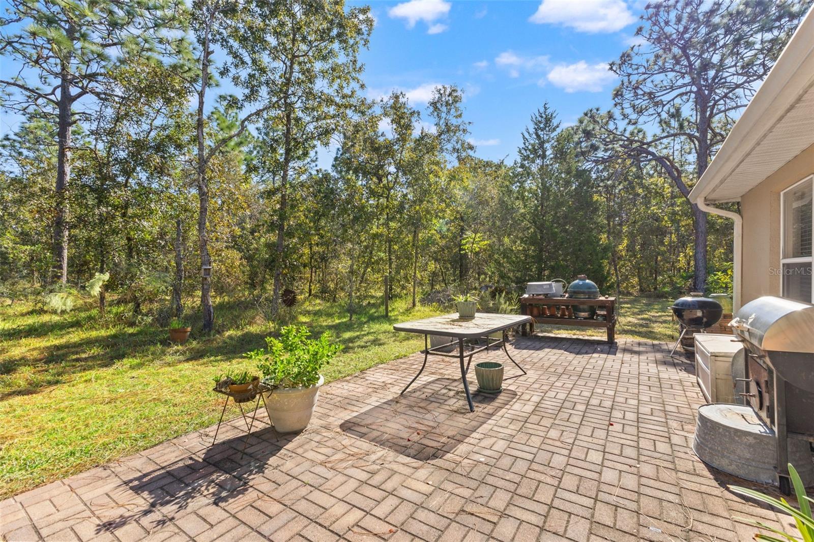 5 BOXLEAF, HOMOSASSA, FL — photo 27