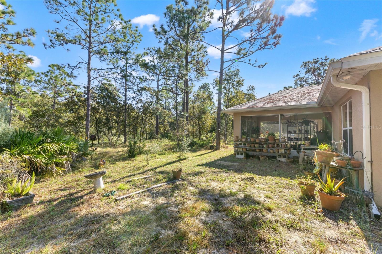 5 BOXLEAF, HOMOSASSA, FL — photo 28