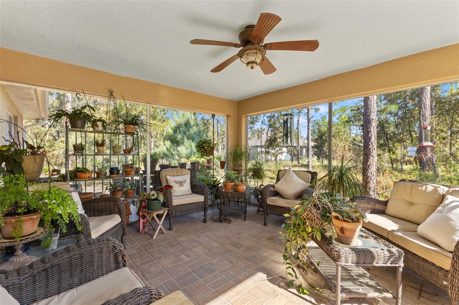 5 BOXLEAF, HOMOSASSA, FL — photo 39