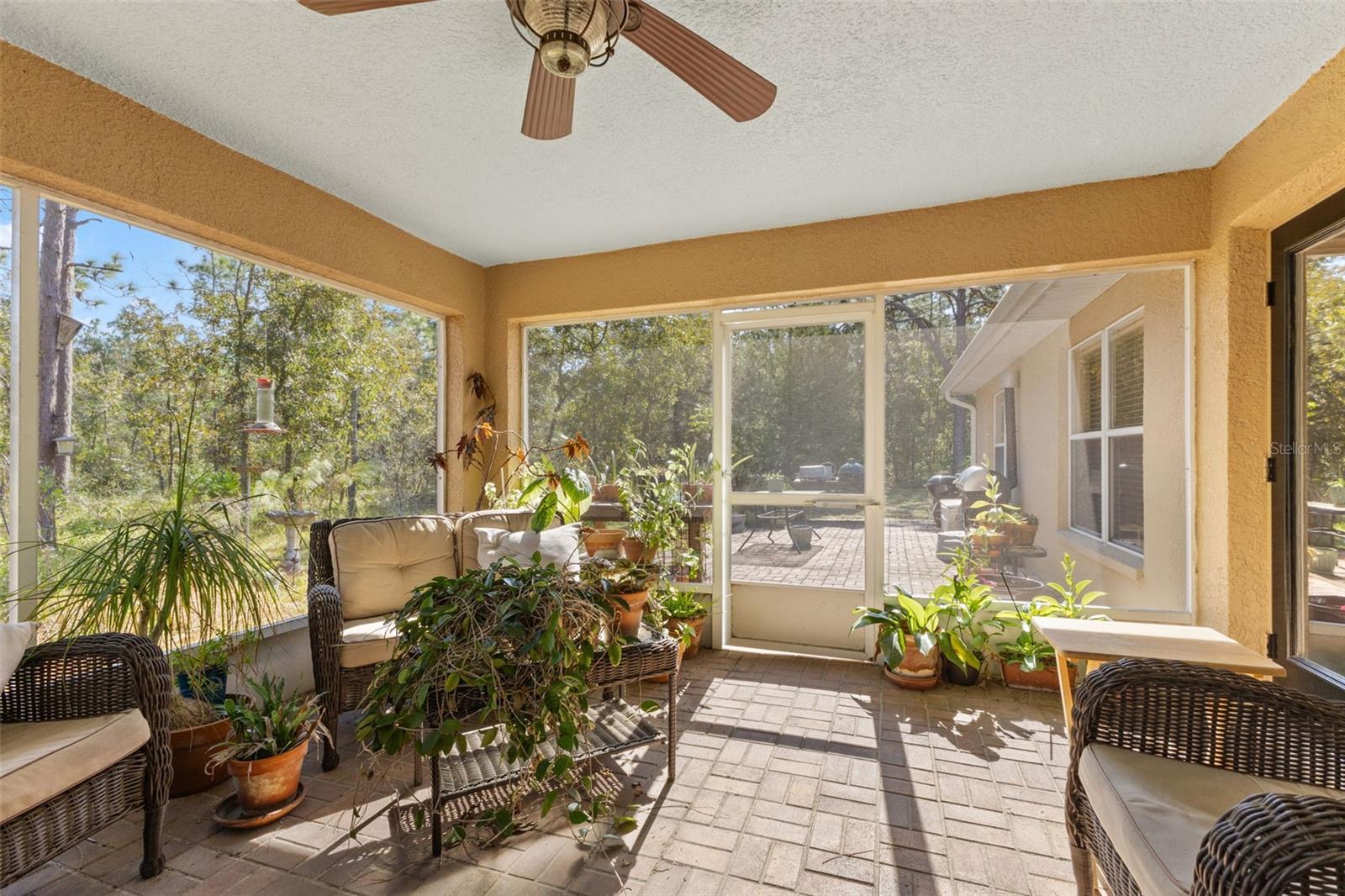 5 BOXLEAF, HOMOSASSA, FL — photo 42