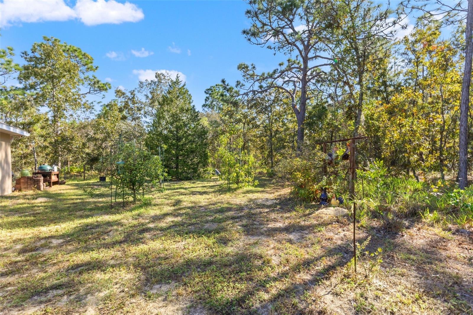 5 BOXLEAF, HOMOSASSA, FL — photo 44