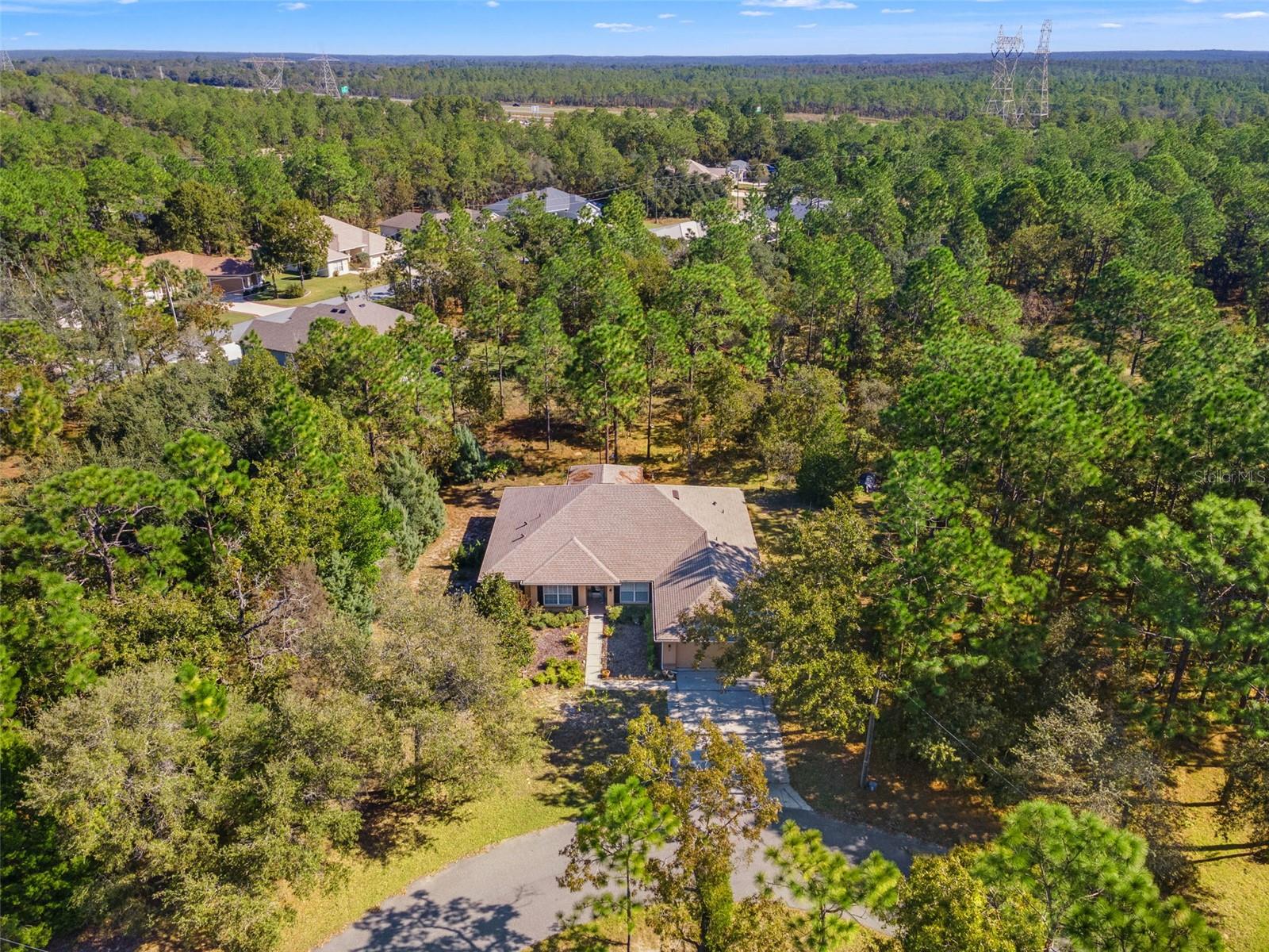 5 BOXLEAF, HOMOSASSA, FL — photo 46