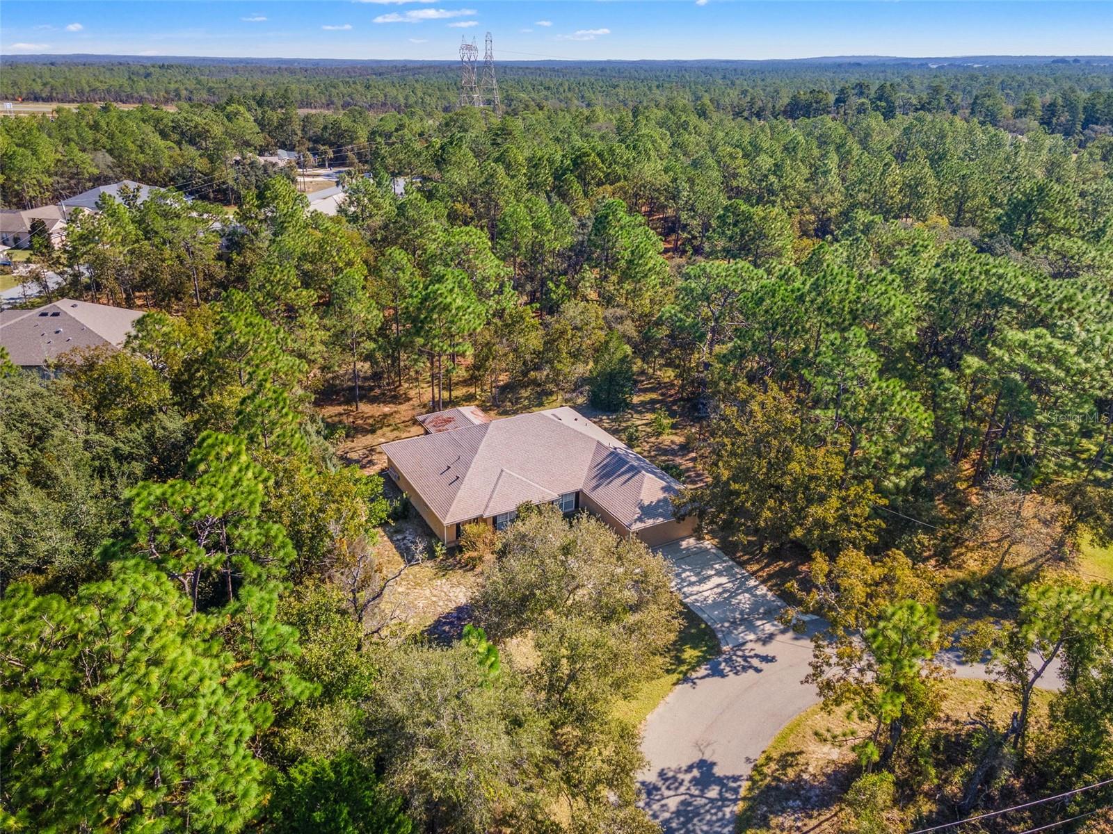 5 BOXLEAF, HOMOSASSA, FL — photo 47