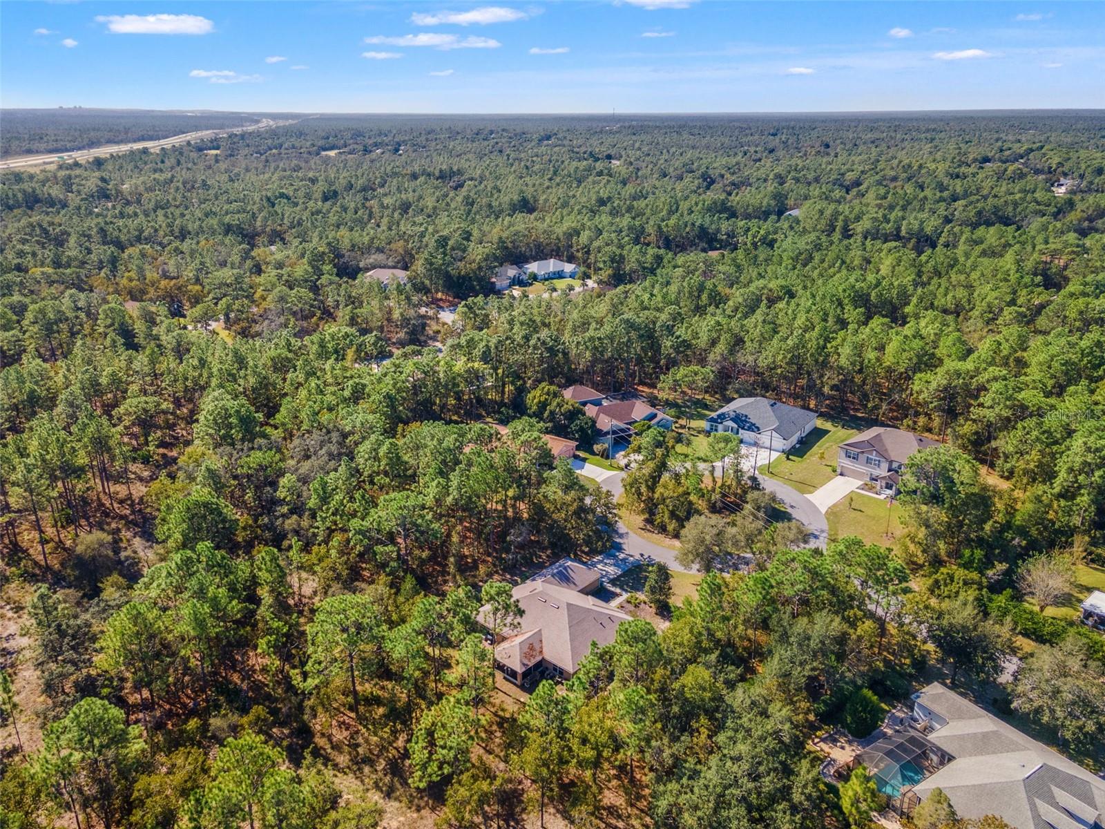 5 BOXLEAF, HOMOSASSA, FL — photo 48