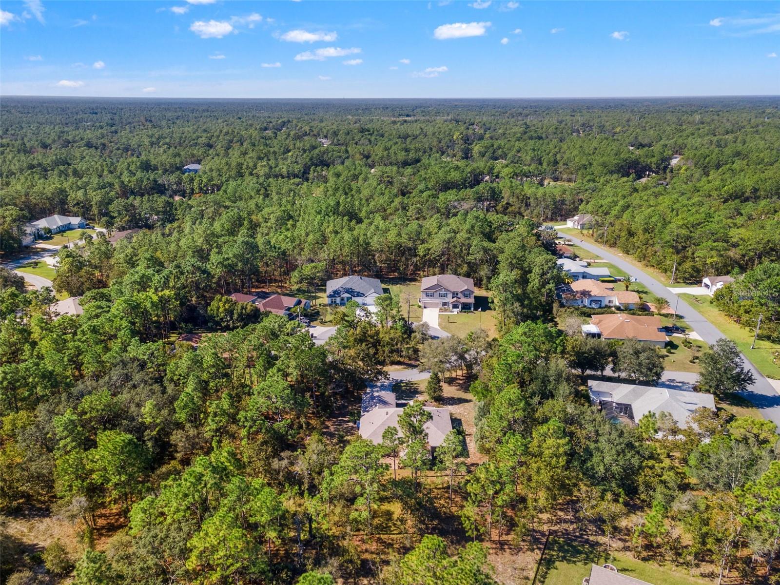 5 BOXLEAF, HOMOSASSA, FL — photo 49